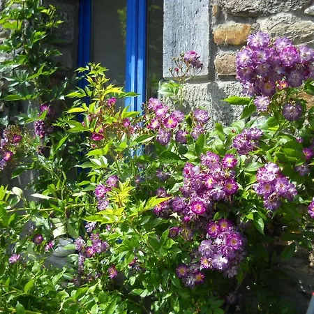 Ardoisine Vakantiehuis La Gacilly